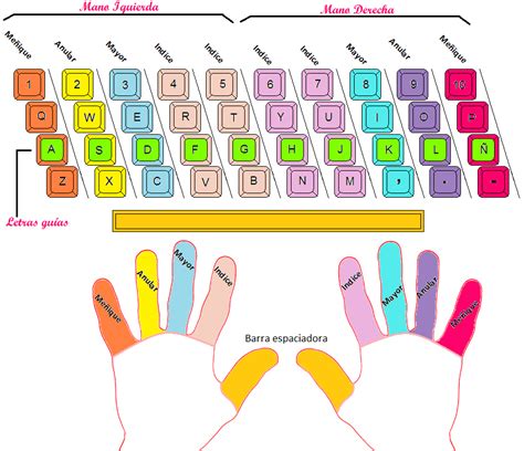 Diseñador: Esquema de un teclado con la asignación de dedos para la mecanografía al tacto.