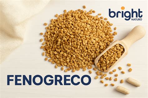 Infografía detallando los beneficios para la salud del fenogreco