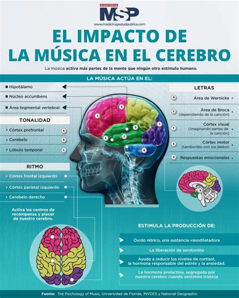 Infografía mostrando las conexiones cerebrales que se activan al escuchar y practicar música clásica.