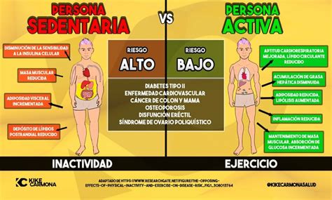 Comparativa visual entre una persona sedentaria y una activa, destacando el gasto calórico.