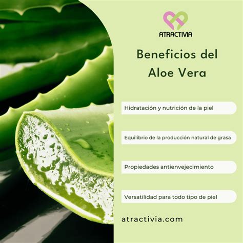 Esquema de los beneficios del Aloe Vera para la piel.