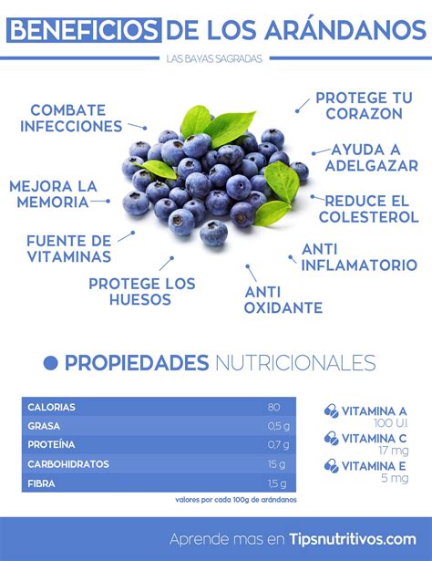 Infografía detallando los beneficios nutricionales de los plátanos y arándanos para la recuperación muscular.