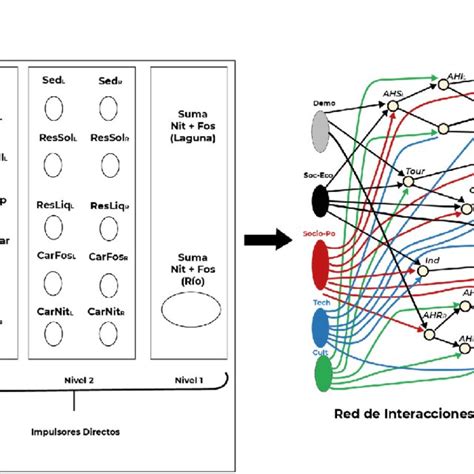 Representación gráfica de la red de interacciones moleculares de los adaptógenos.