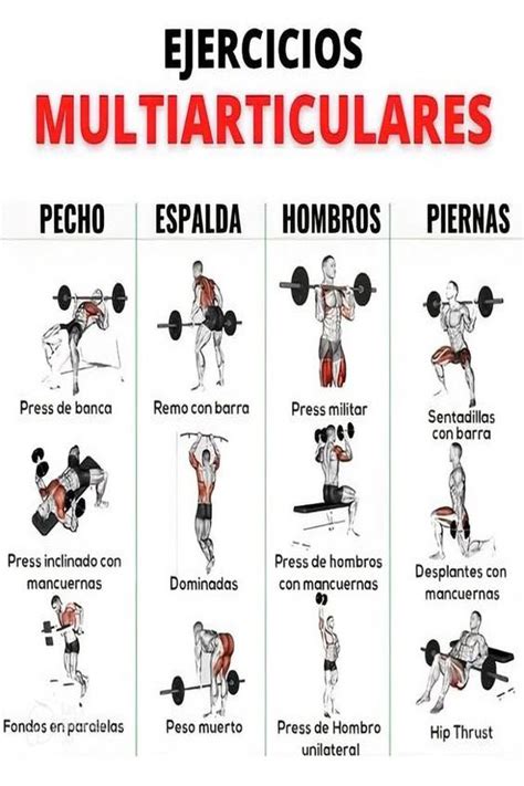 Ilustración de varios ejercicios multiarticulares