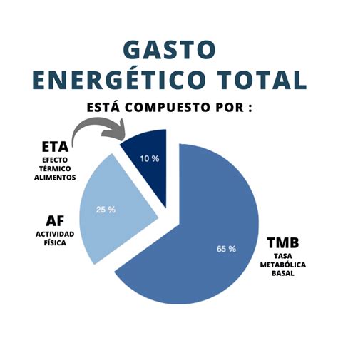 Diagrama de los determinantes del gasto energético total diario (TDEE)