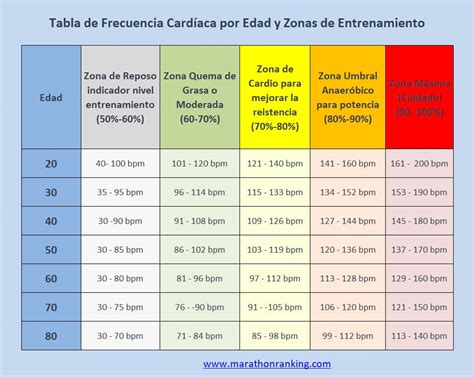 Gráfico que muestra la relación entre frecuencia cardíaca y quema de calorías durante el ejercicio