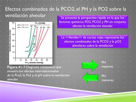 Gráfico que muestra la relación entre la PCO2, la PO2 y el FSC