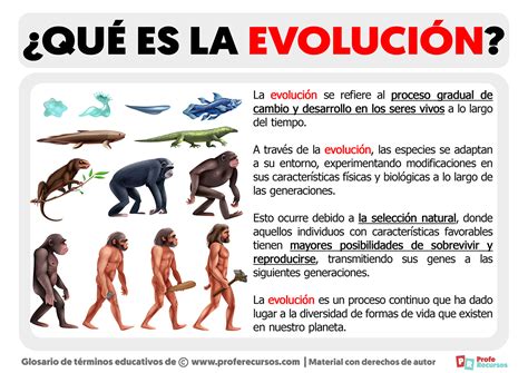 Ilustración que representa la evolución positiva de la imagen corporal tras un proceso de cambio.