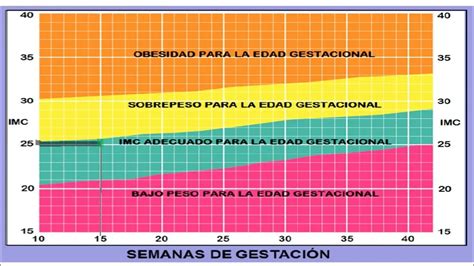 tabla comparativa de indicadores antropométricos y su aplicación en diferentes ciclos de vida