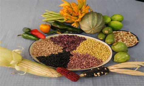 Ilustración de los ingredientes clave de la 