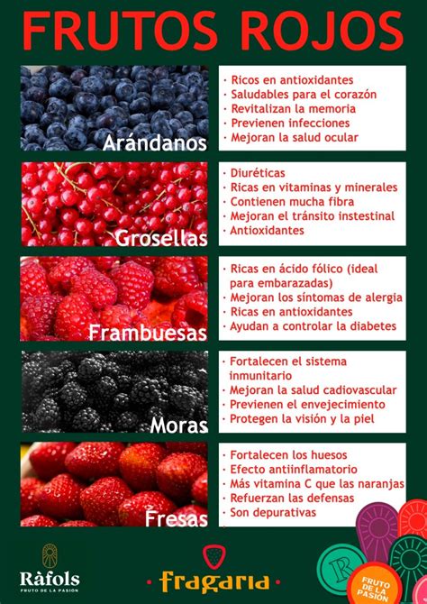 Infografía con la variedad de frutos rojos y sus colores vibrantes (rojo, azul, morado, negro).
