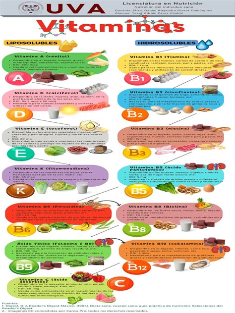 Infografía detallando las vitaminas y minerales comunes en un multivitamínico