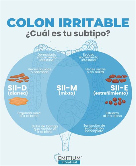 Infografía detallando los síntomas comunes del síndrome de colon irritable, con iconos para dolor abdominal, diarrea, estreñimiento, hinchazón y gases.