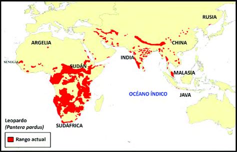 mapa de distribución del leopardo