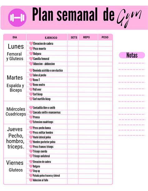 Plan de entrenamiento semanal con diferentes tipos de ejercicios.