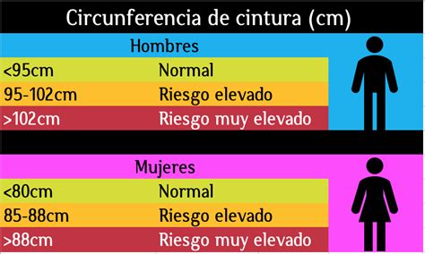 Ilustración mostrando cómo medir la circunferencia de la cintura en hombres y mujeres.
