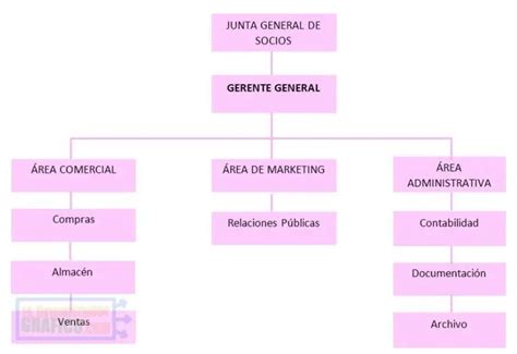 Diagrama que ilustra la estructura de una empresa y los puntos donde se puede aplicar el adelgazamiento.