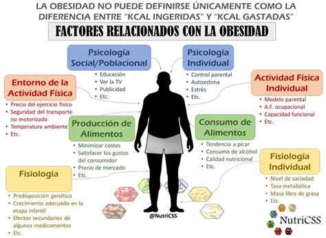 Diagrama de flujo mostrando las interconexiones entre factores sociales, ambientales y la obesidad.