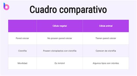 Esquema comparativo de diferentes tipos de prendas moldeadoras femeninas: braga faja, short reductor y body moldeador.
