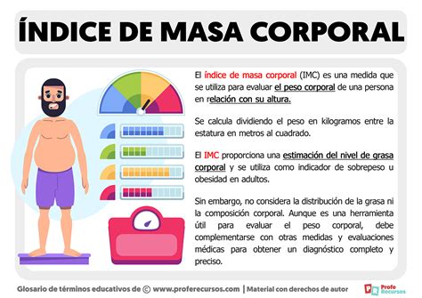 Infografía sobre la importancia de la masa muscular para el metabolismo.