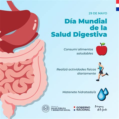Infografía con iconos representando dieta equilibrada, ejercicio y un sistema digestivo saludable.
