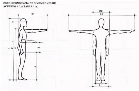 Comparativa visual de las medidas de una Barbie estándar con las proporciones corporales saludables para una mujer.