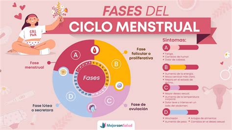 tabla comparativa de tipos de ejercicio recomendados por fase del ciclo menstrual