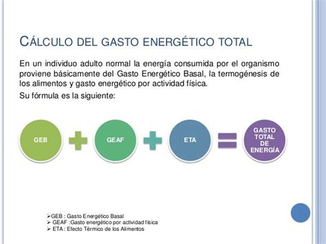 Diagrama de flujo que ilustra el cálculo del Gasto Energético Total a partir del Gasto Energético Basal, Efecto Térmico de los Alimentos y Termogenia por Actividad.