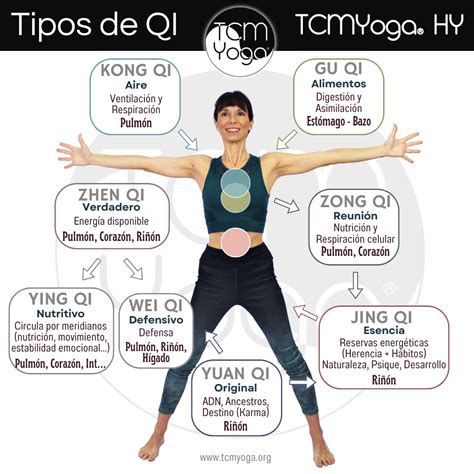 ilustración conceptual que muestra el flujo de Qi en el cuerpo y su relación con la digestión y el equilibrio Yin-Yang