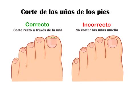 esquema comparativo de la preparación correcta e incorrecta del gazpacho, mostrando los pasos y los resultados.