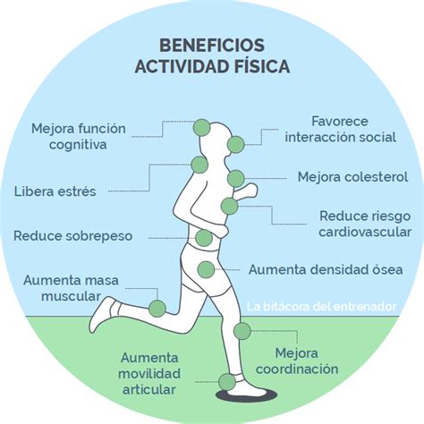Gráfico: Beneficios de la actividad física regular para la pérdida de peso