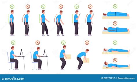 Ilustración mostrando la diferencia entre una postura cifótica y una postura correcta, destacando la alineación de la columna.
