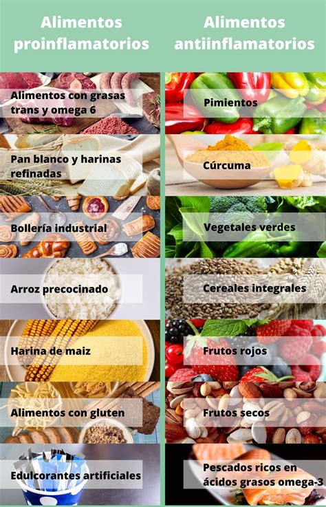 Infografía sobre los pilares de la dieta paleolítica antiinflamatoria, destacando alimentos naturales, frutas, verduras, grasas saludables y proteínas magras.