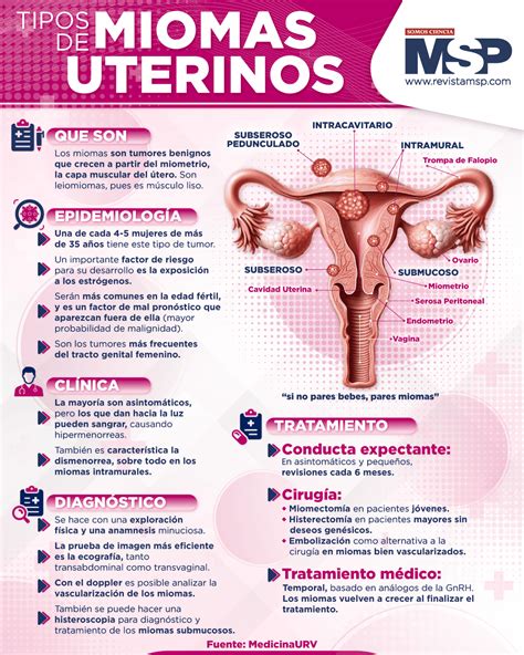 Infografía que compara alimentos beneficiosos y perjudiciales para mujeres con miomas uterinos.