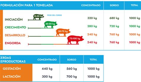 Ilustración: Diagrama del sistema de clasificación de cerdos por peso en un cebadero.