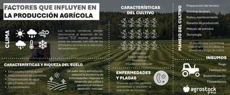 Infografía: Factores que influyen en el rendimiento de la producción porcina.
