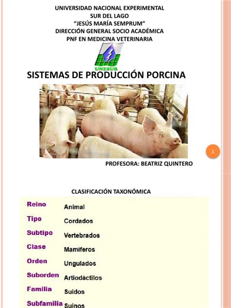 Esquema: Comparativa de sistemas de alimentación porcina (seca vs. líquida).