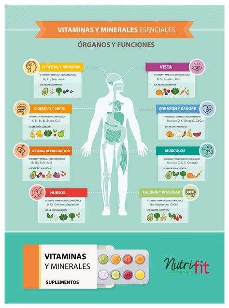 Infografía detallando las funciones de vitaminas y minerales clave para la salud muscular y ósea.