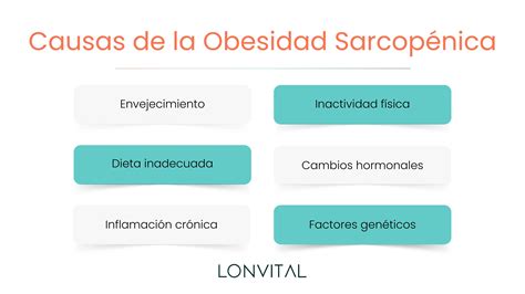 Esquema comparativo de la composición corporal en obesidad sarcopénica versus obesidad simple.