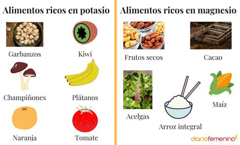 Infografía mostrando alimentos ricos en potasio, calcio y magnesio