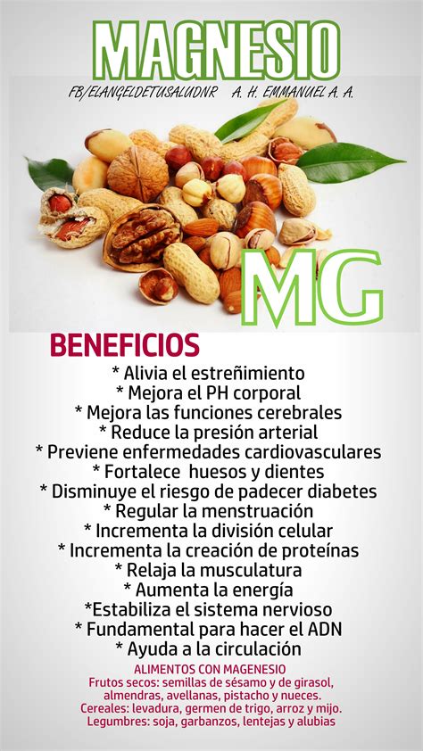 Infografía detallando los beneficios del magnesio para la salud ósea y muscular.