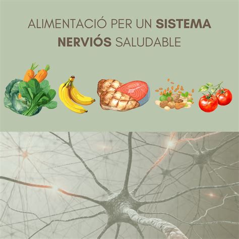 Ilustración de un sistema nervioso saludable y cómo el magnesio influye en él.