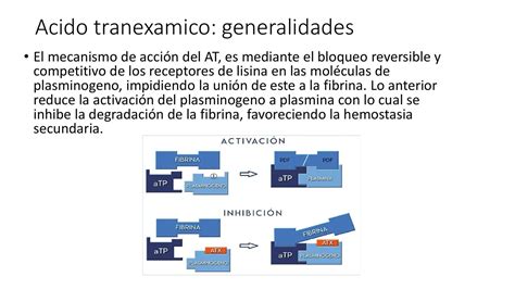 Diagrama que ilustra el mecanismo de acción del Ácido Hidroxicítrico (AHC) en el metabolismo de las grasas.
