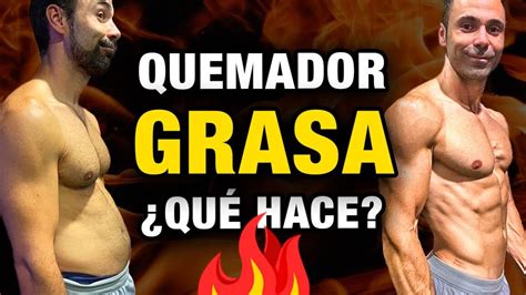 Infografía comparativa de los principales ingredientes activos de los quemadores de grasa y sus mecanismos de acción.