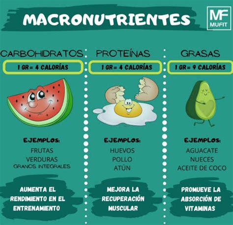 Infografía comparativa de la energía requerida para digerir diferentes macronutrientes (proteínas, carbohidratos, grasas).