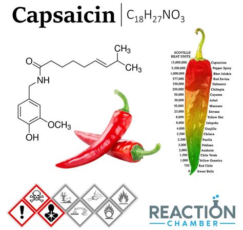 Ilustración de la molécula de capsaicina y su efecto en los receptores de temperatura del cuerpo.