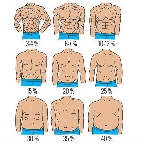 Infografía comparativa de métodos para medir el porcentaje de grasa corporal