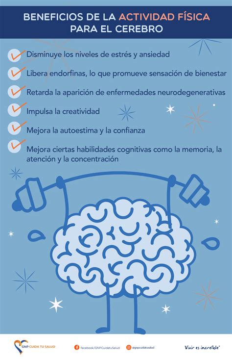 Infografía que ilustra los beneficios de la tonificación muscular: postura, articulaciones, salud, concentración y bienestar.