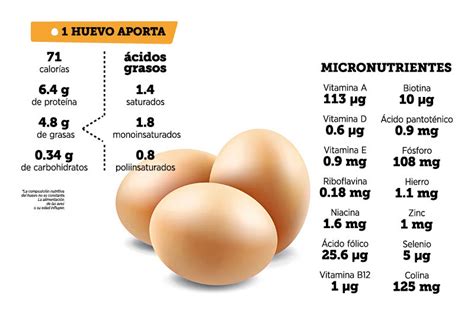 Infografía comparativa de los nutrientes de la clara y la yema de huevo.
