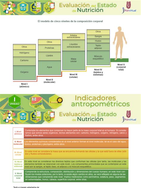 Infografía mostrando los diferentes métodos de evaluación nutricional (antropometría, bioquímica, clínica).